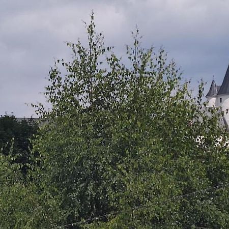 Ferienwohnung Dick Schwarzenberg Schwarzenberg  Buitenkant foto
